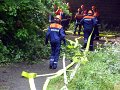 2011-08_JF_BF-Tag (68)